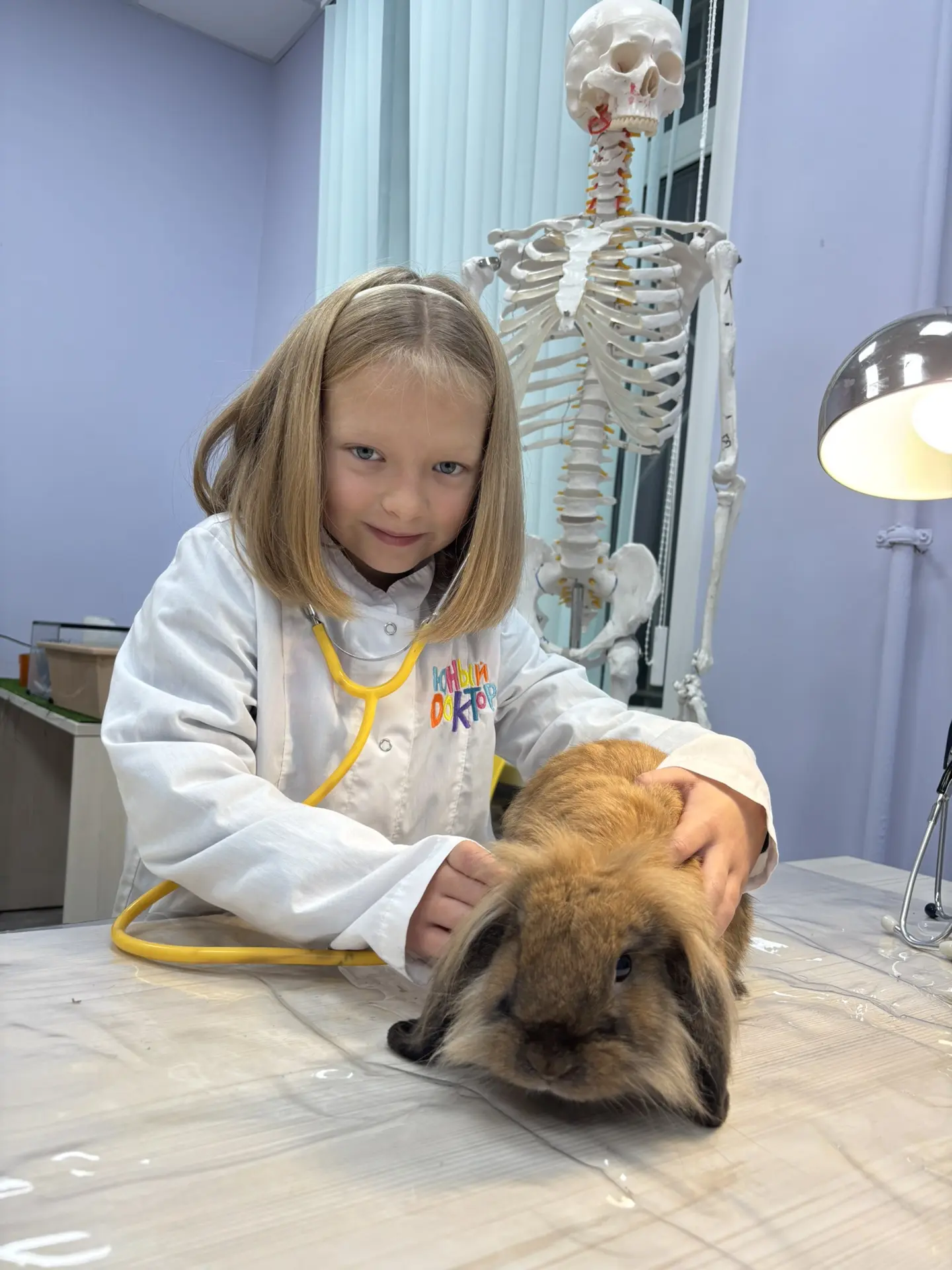 Знали ли вы, что у собаки 13 пар рёбер, а у человека - 12? 🐶
