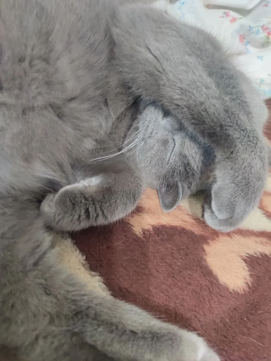 😴 Выключите свет...