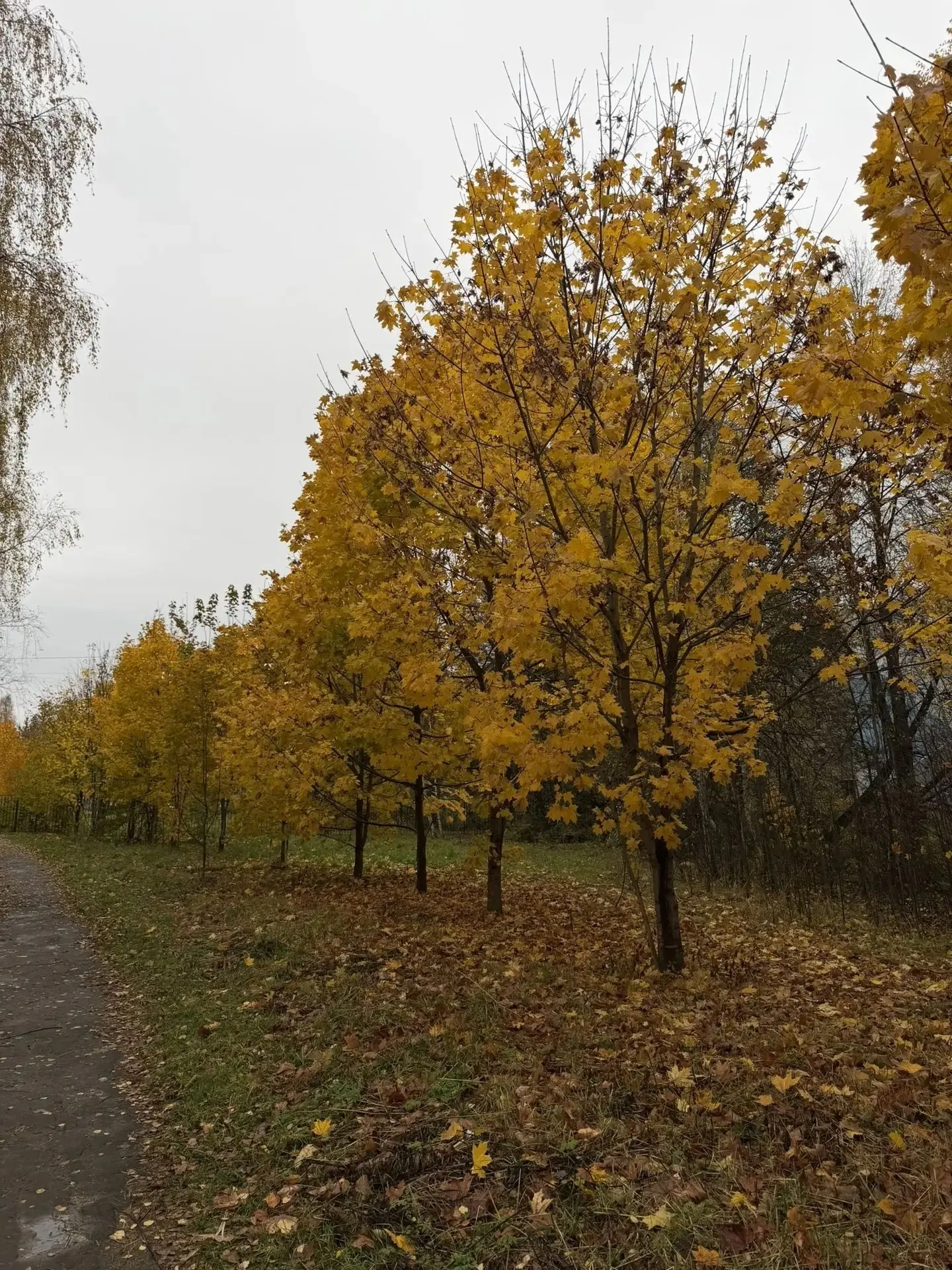 Что такое осень - это небо