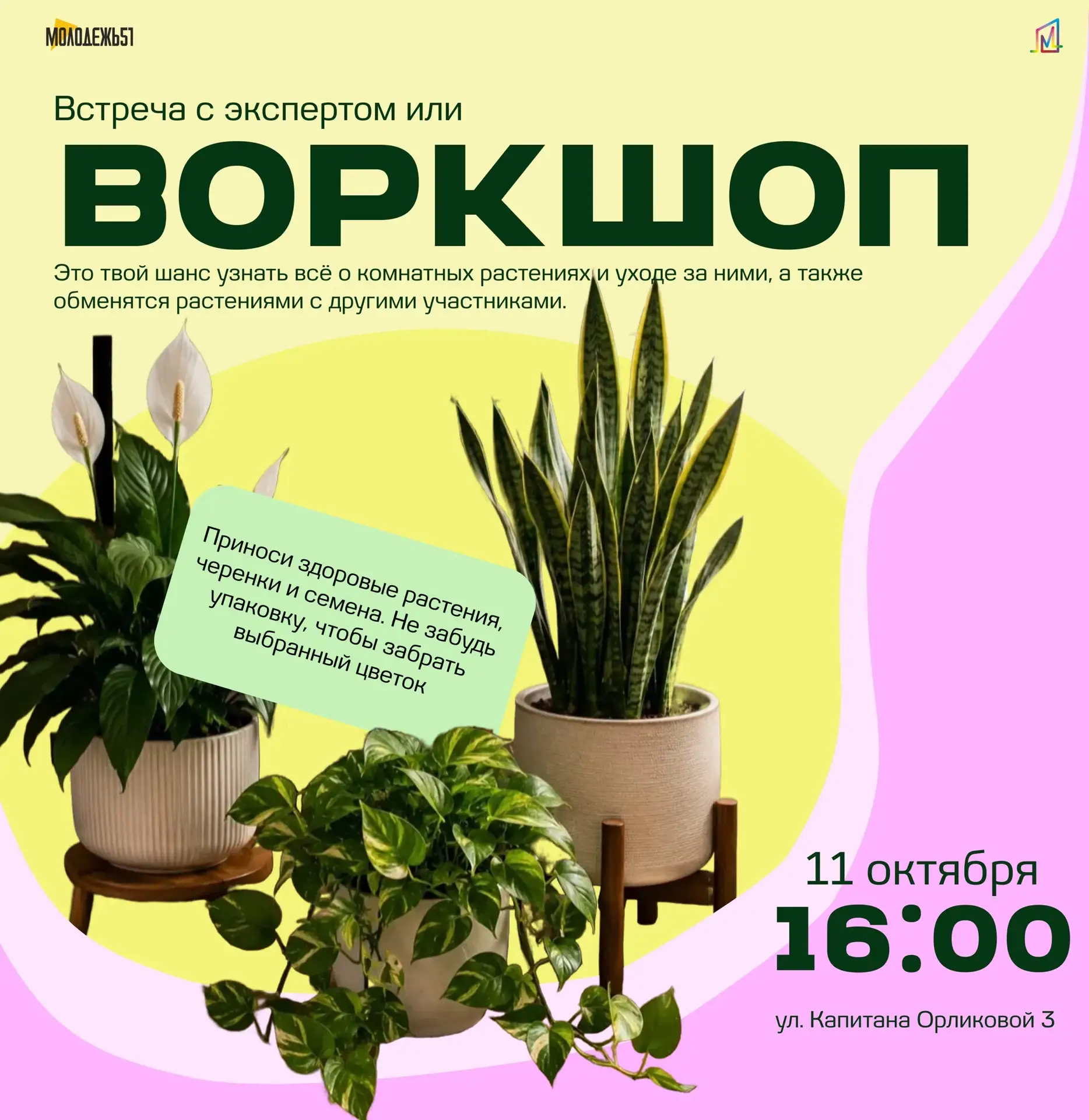 🌿 Обмен растениями: зеленый воркшоп!