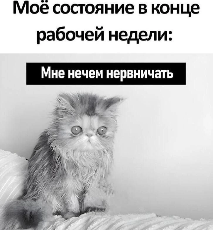 Пятница. Дотянули