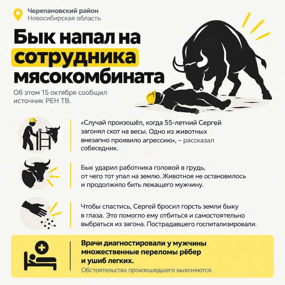 🐂🚨 Бык напал на сотрудника мясокомбината в Черепановском районе Новосибирской области...