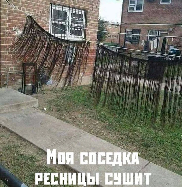 😅😅😆