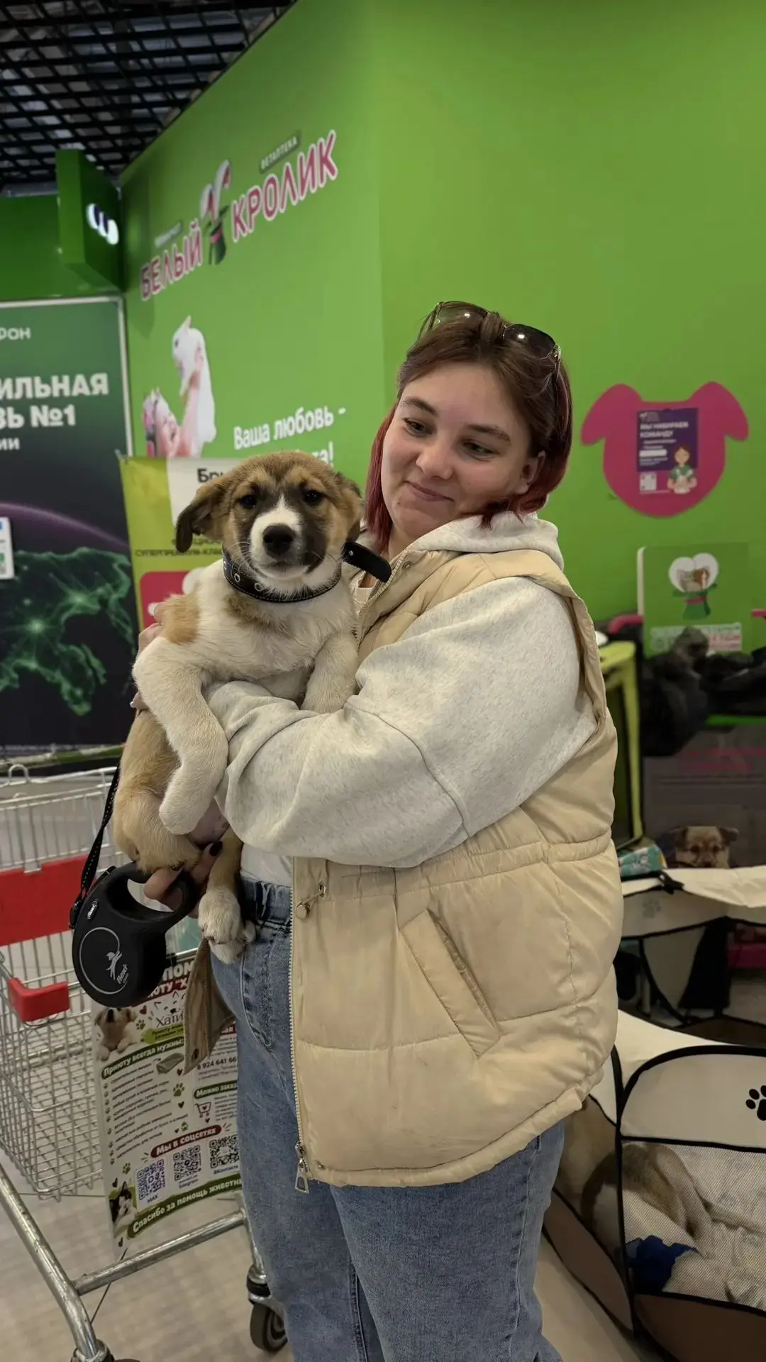 А вот вчерашняя волшебная новость - Зевс уехал в семью ❤