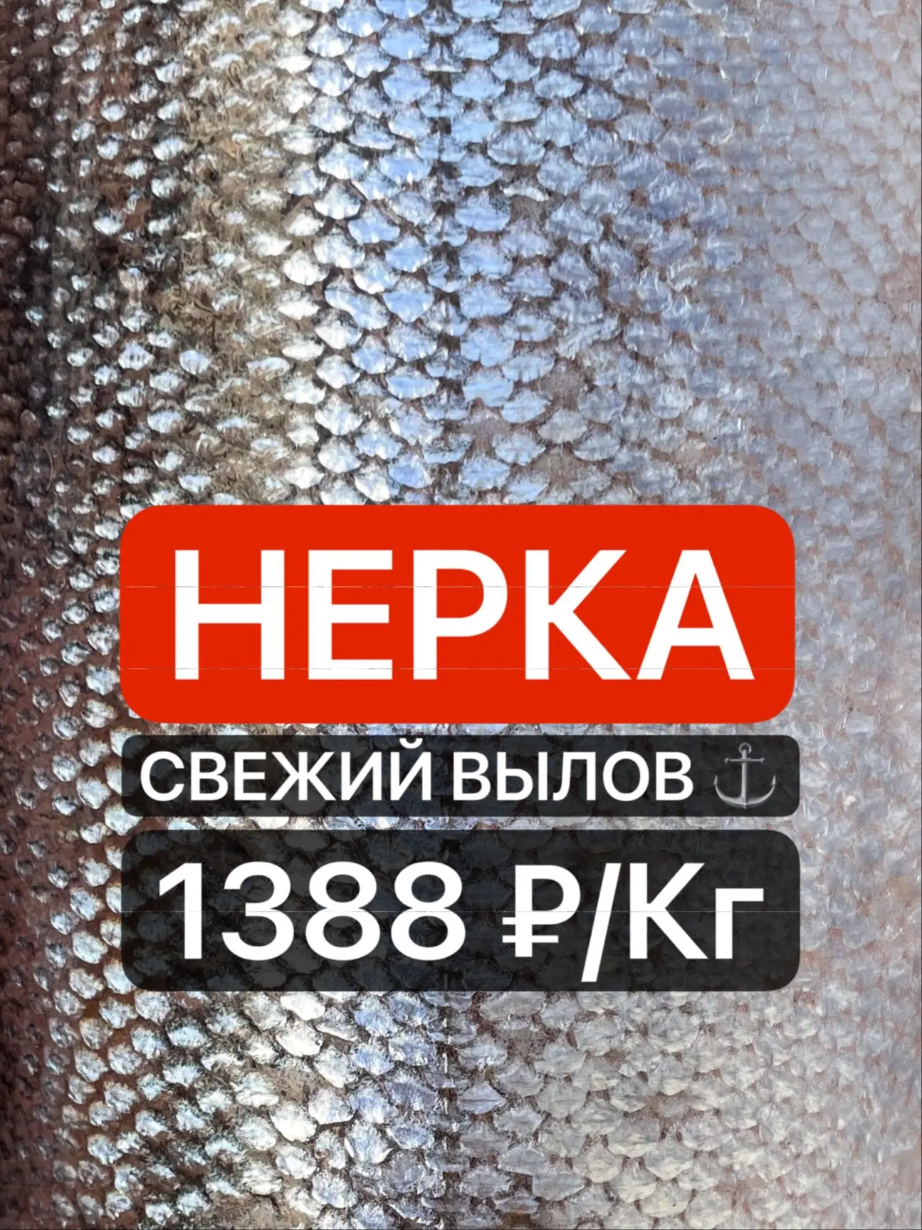 ❤️ Нерка снова во всех магазинах ПРОРЫБУ!