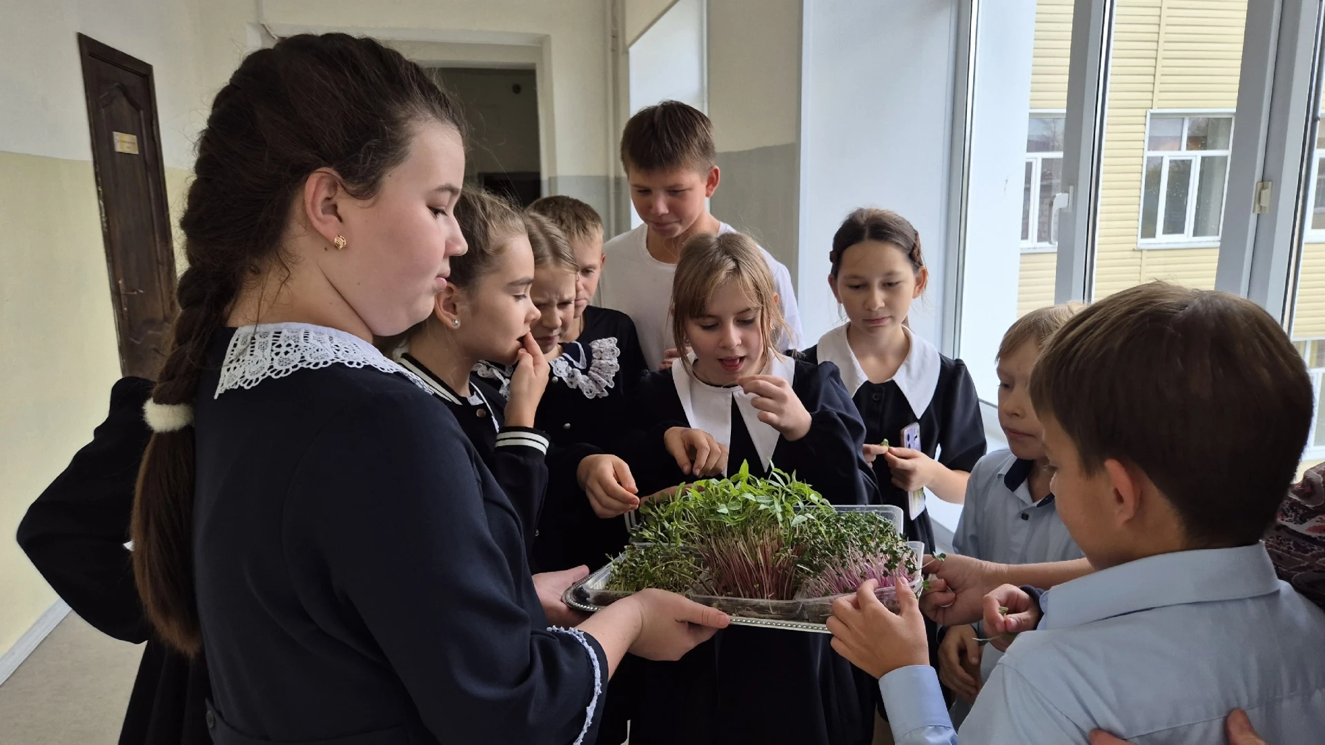 🌾НОВОСТИ АГРОТЕХНОЛОГИЧЕСКОГО КЛАССА 🌾