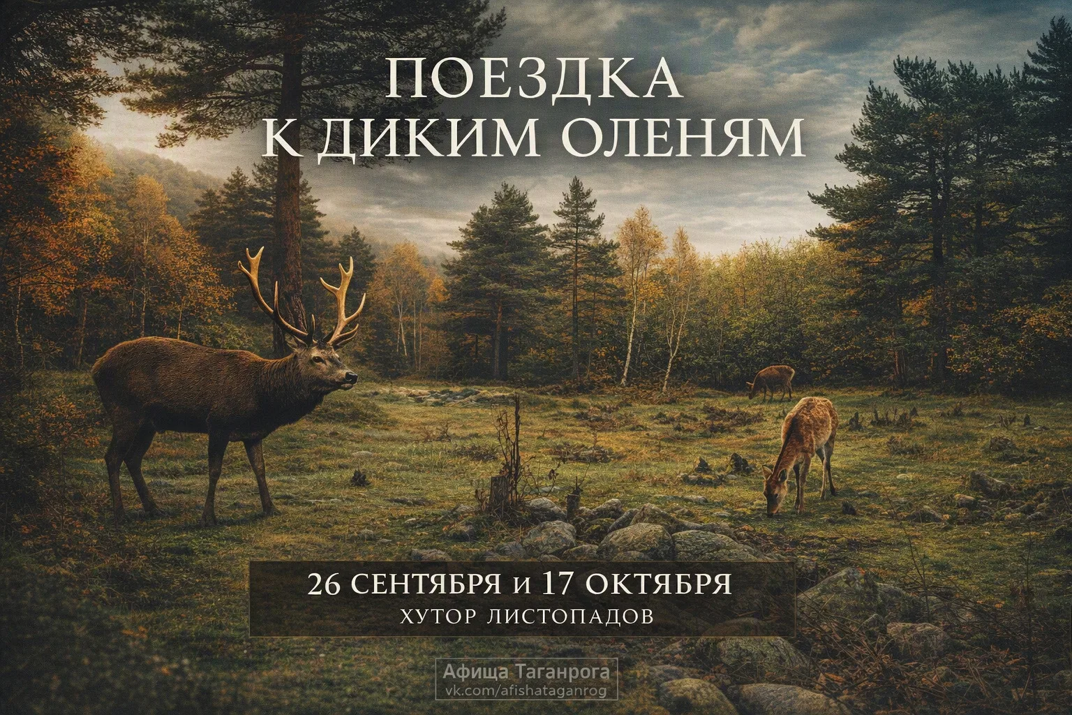 Поездка в лесной заповедник к диким оленям 🦌