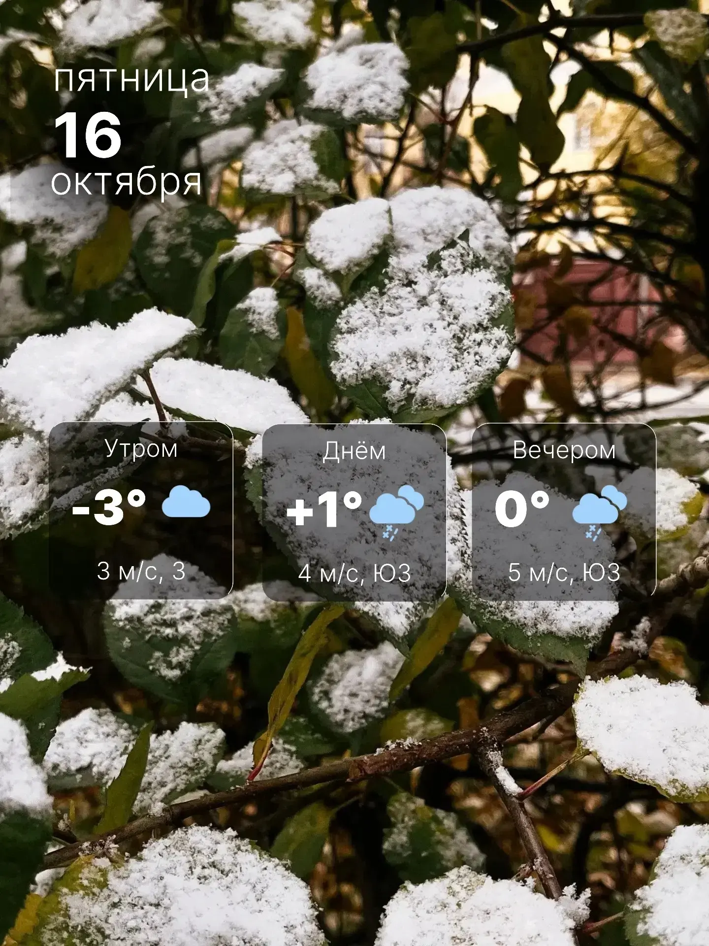 🥶 Сыро, холодно и скользко…