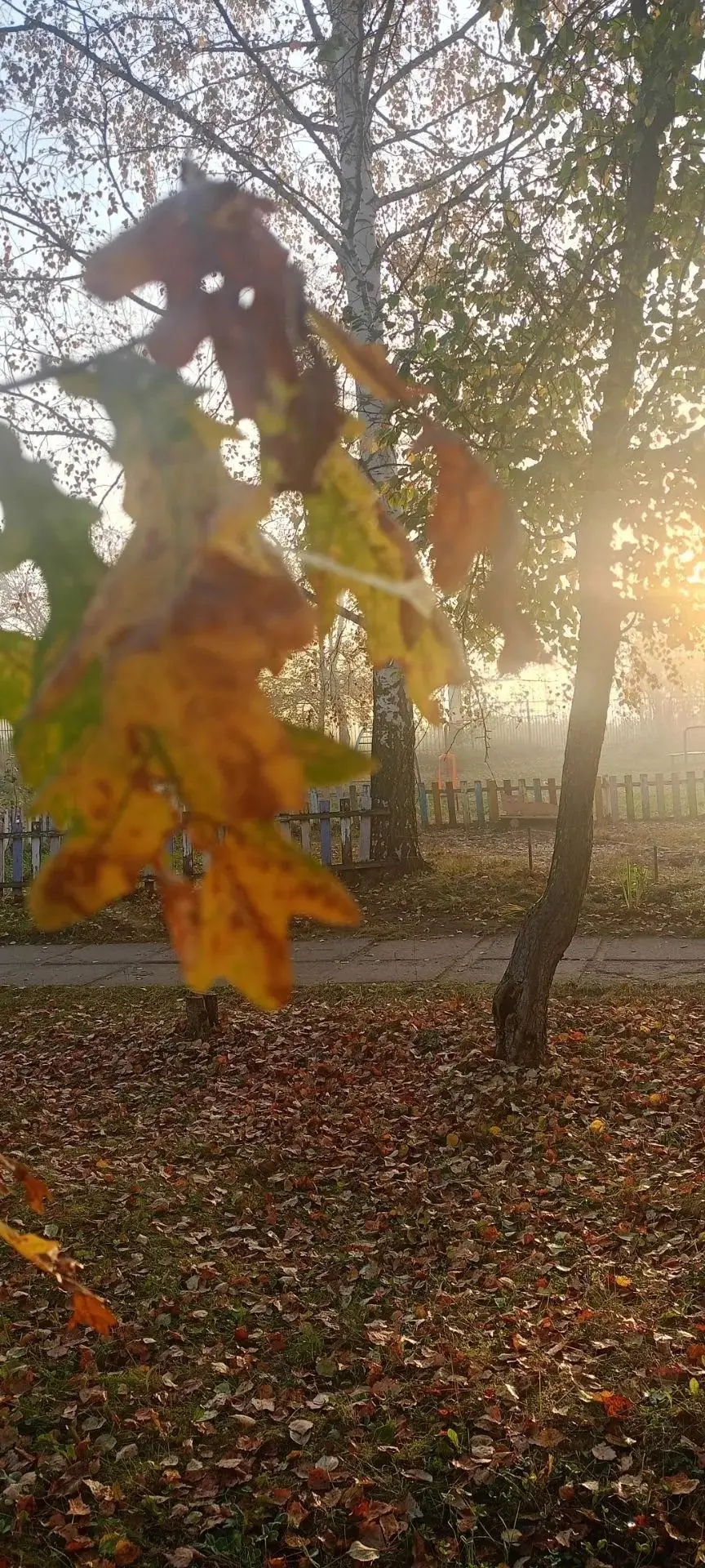 Доброе утро, лесничане и нижнетуринцы!