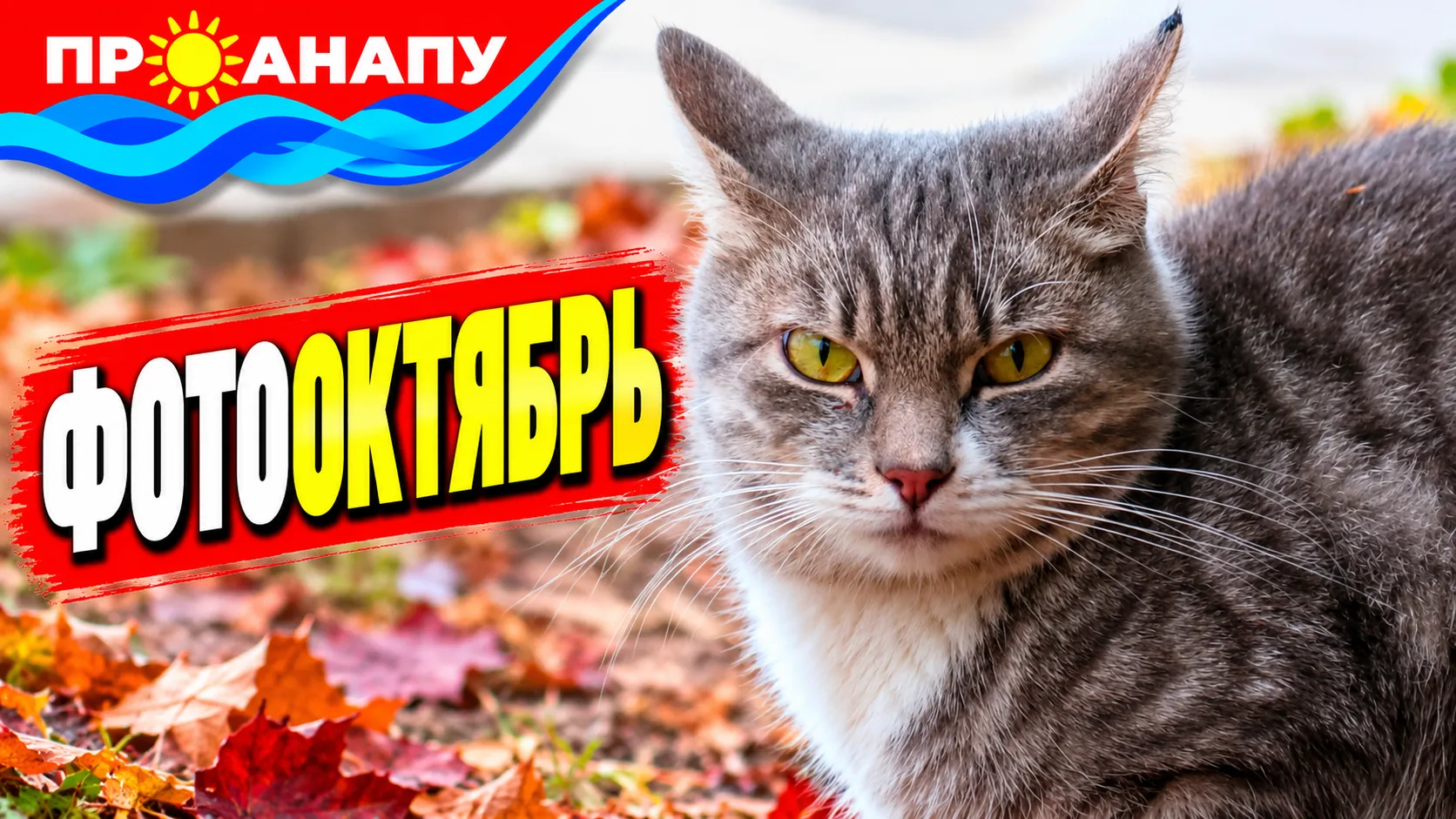 Фотооктябрь от Марианны Шиловой: осенние мгновения Анапы 1.0