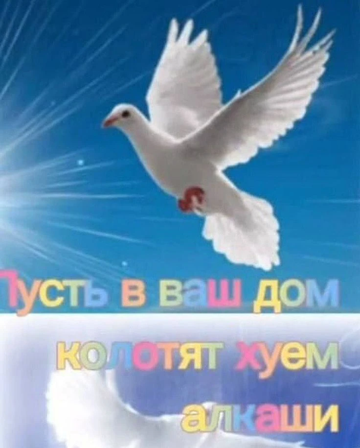 ❗️❗️Завтра в 17:00 по МСК подводим итоги этой недели, считаем лайки и выясняем кто босс...