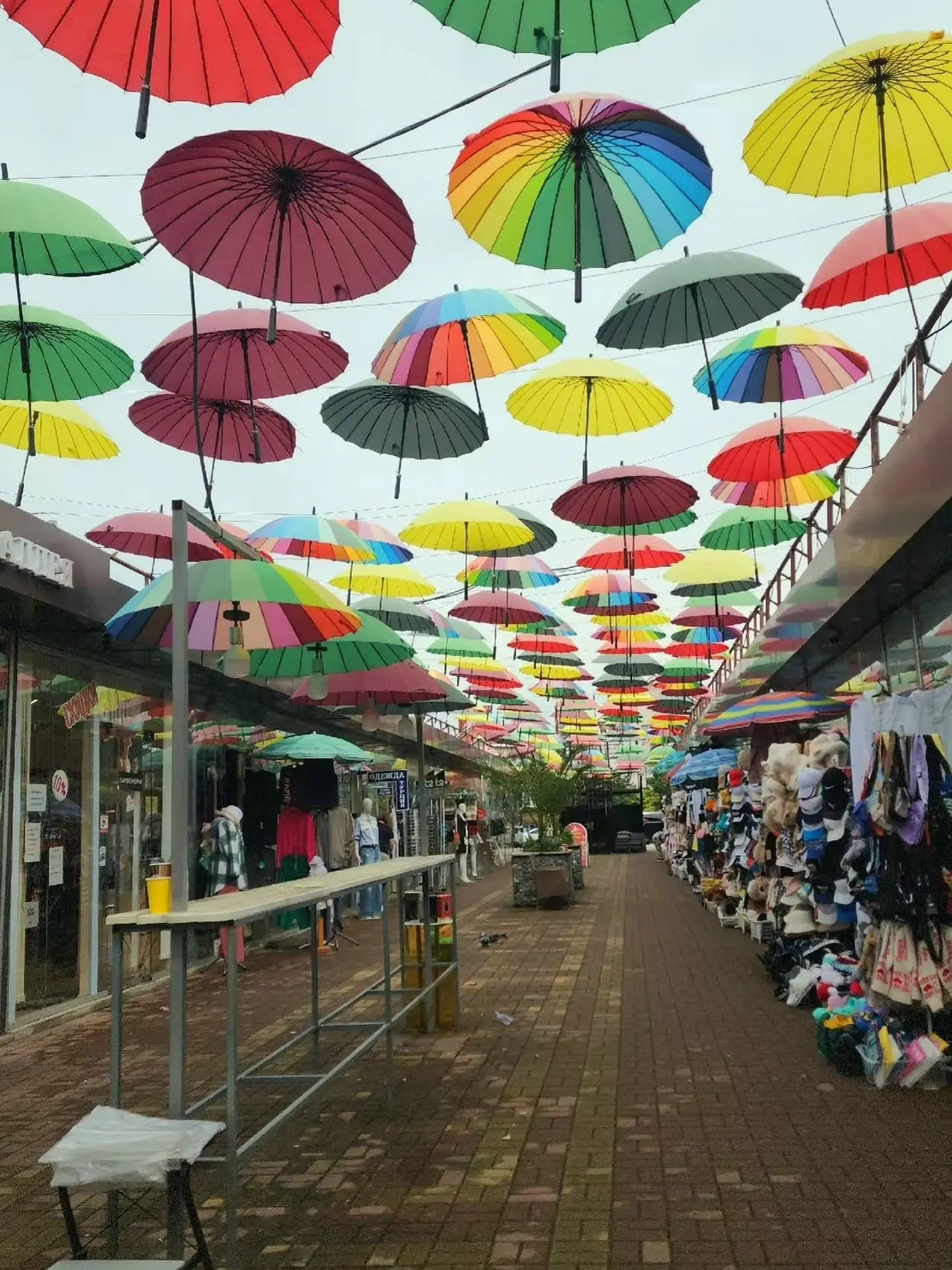 ☂️ Маленькая цветная улица посреди Сириуса
