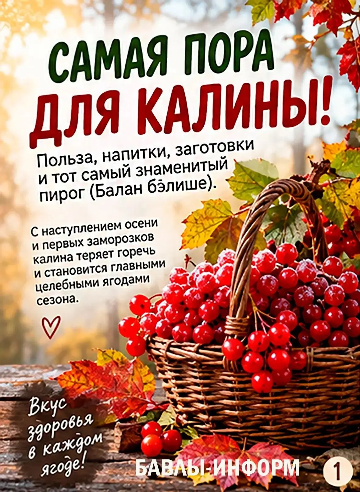 Подробности о пользе калины и простые рецепты заготовок читайте в наших карточках!