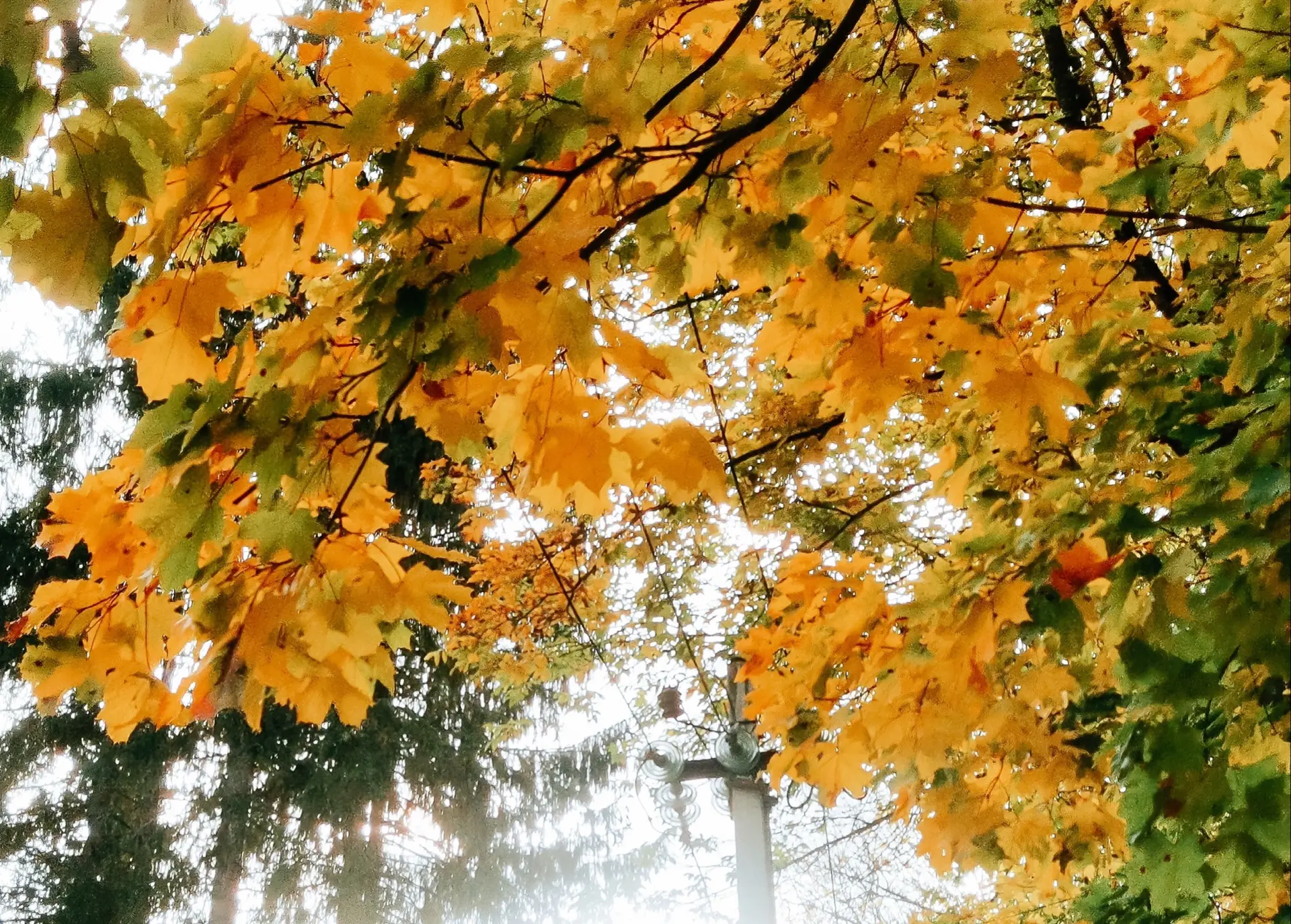 Доброе октябрьское утро, друзья! 🍂☕️