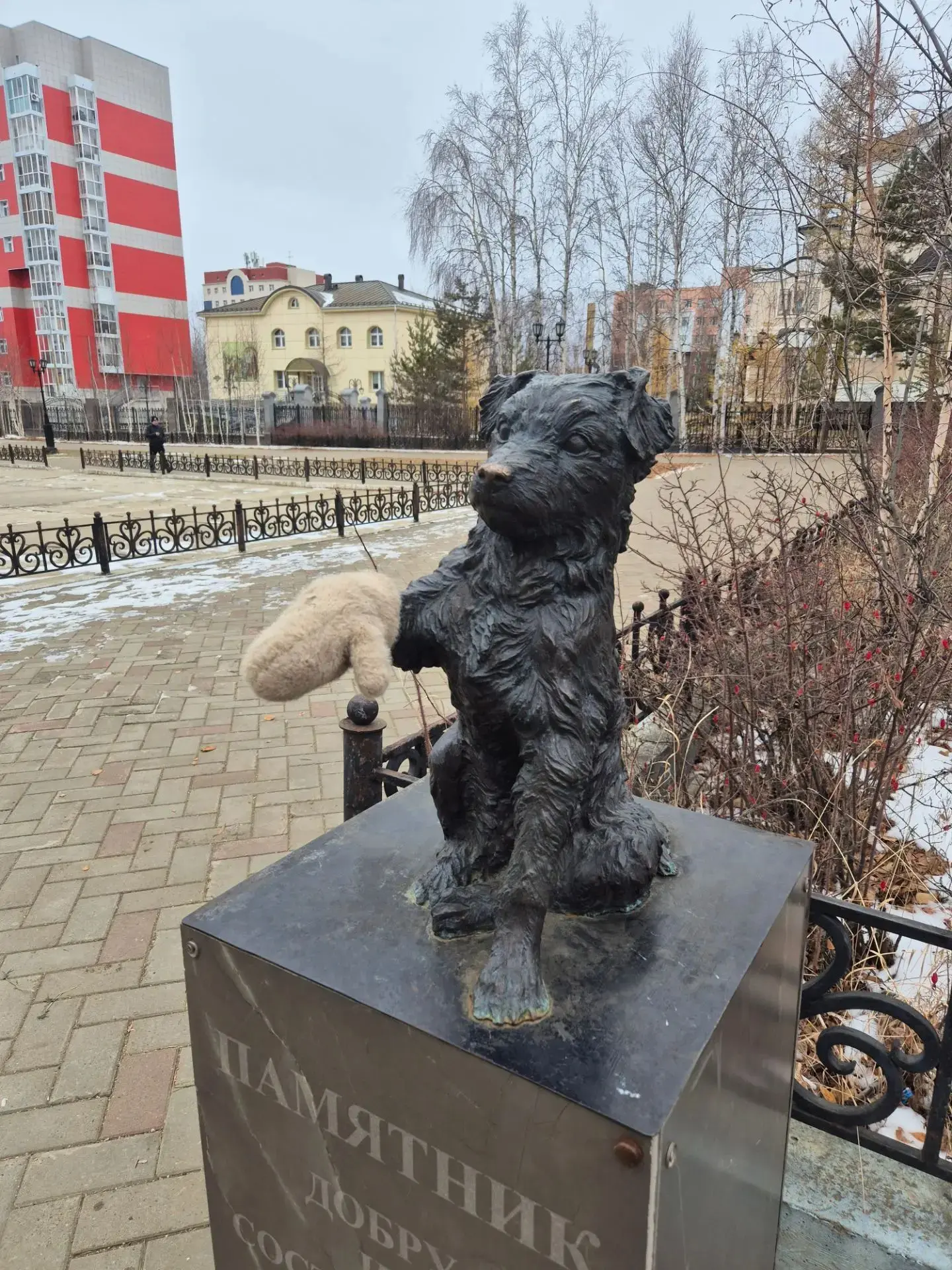 🐾🧤 Немного тепла на городских улицах