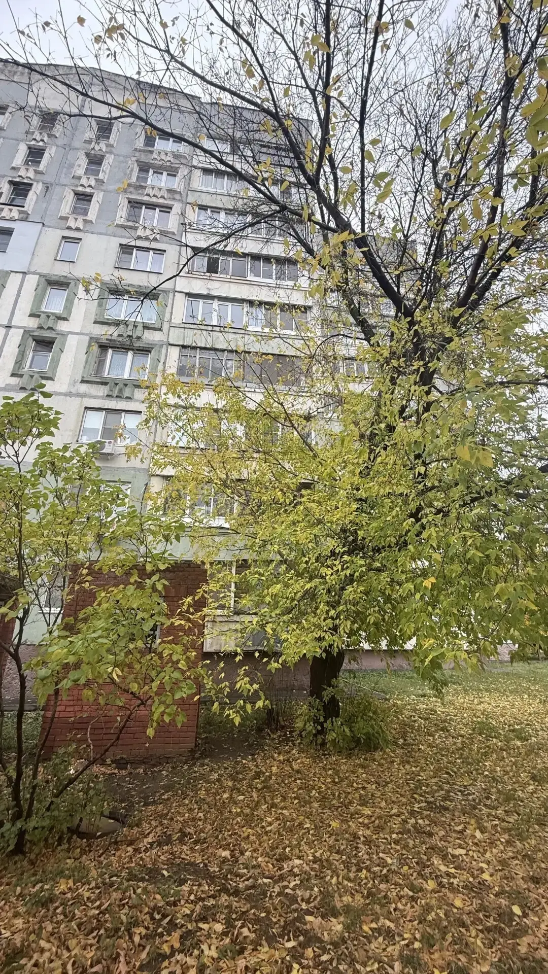 На улице Пролетарская, дом 34, открыт люк.