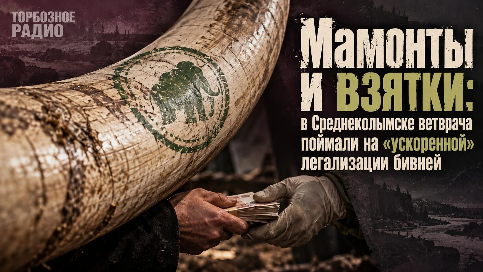 Мамонты и взятки: в Среднеколымске ветврача поймали на «ускоренной» легализации бивней
