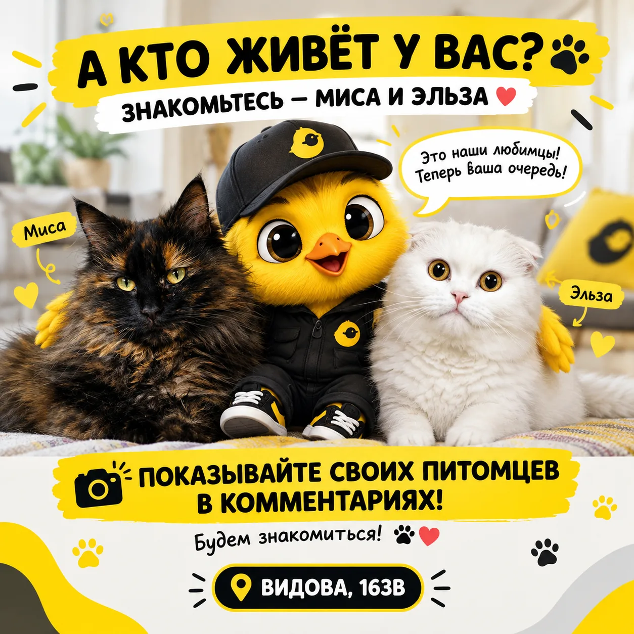 📸 ТАК, А ТЕПЕРЬ ВАША ОЧЕРЕДЬ!