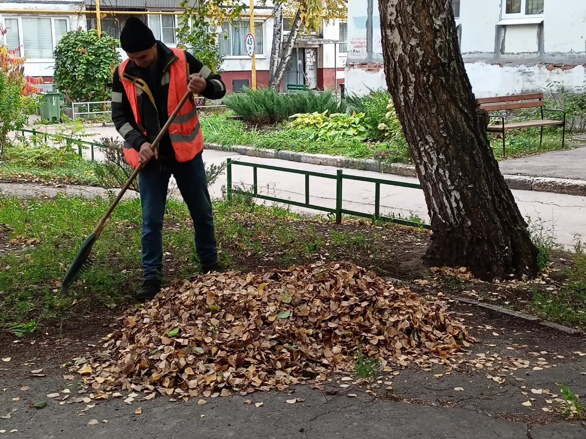 🛠️ Рубрика «Двор в порядке»