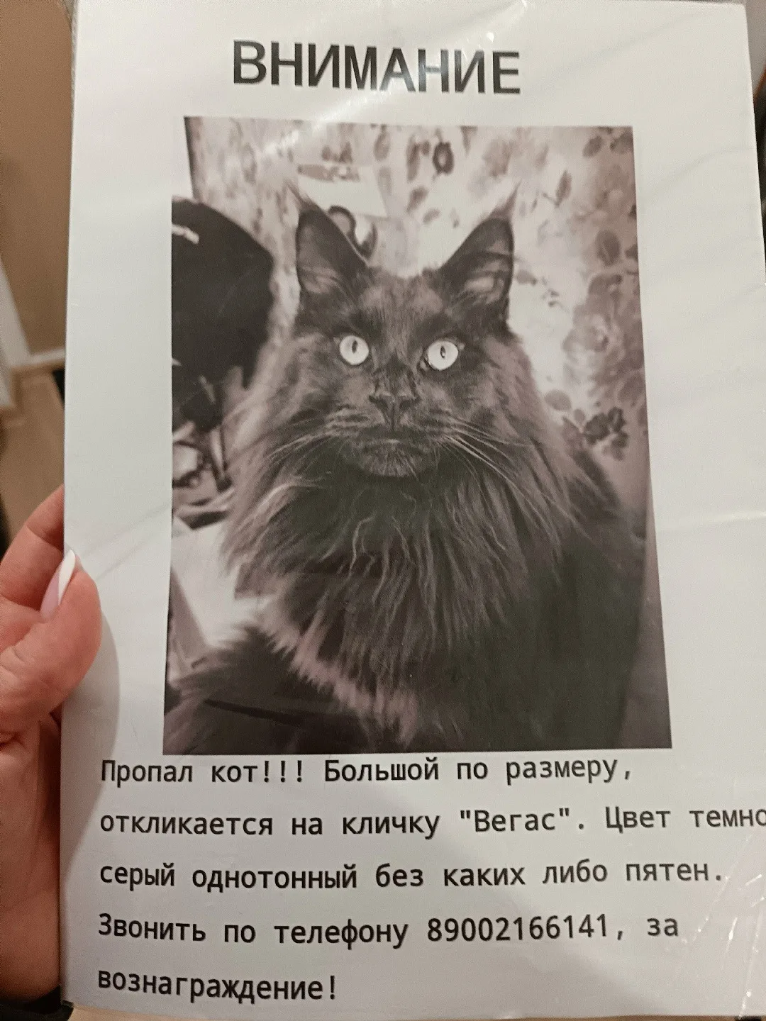 Потеряшек пост