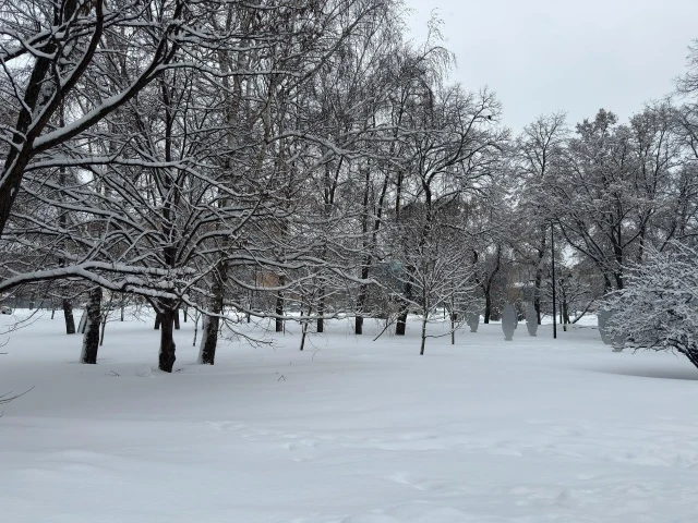 🌥️Грозит ли России аномальная зима из-за Эль-Ниньо, рассказал метеоролог