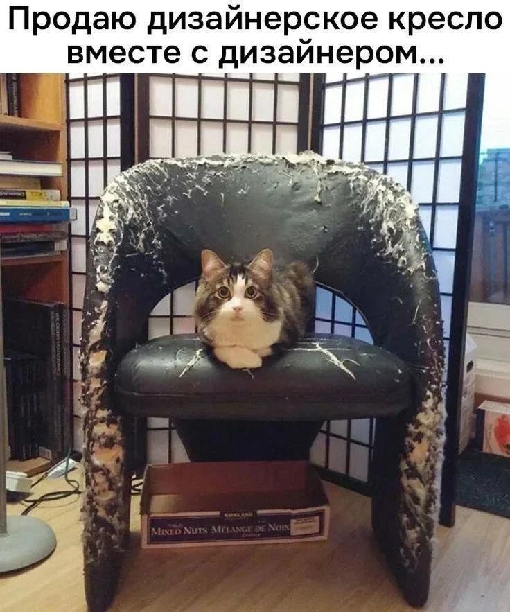 😆Православные тоже шутят - Позитивный канал, с доброй и душевной атмосферой.