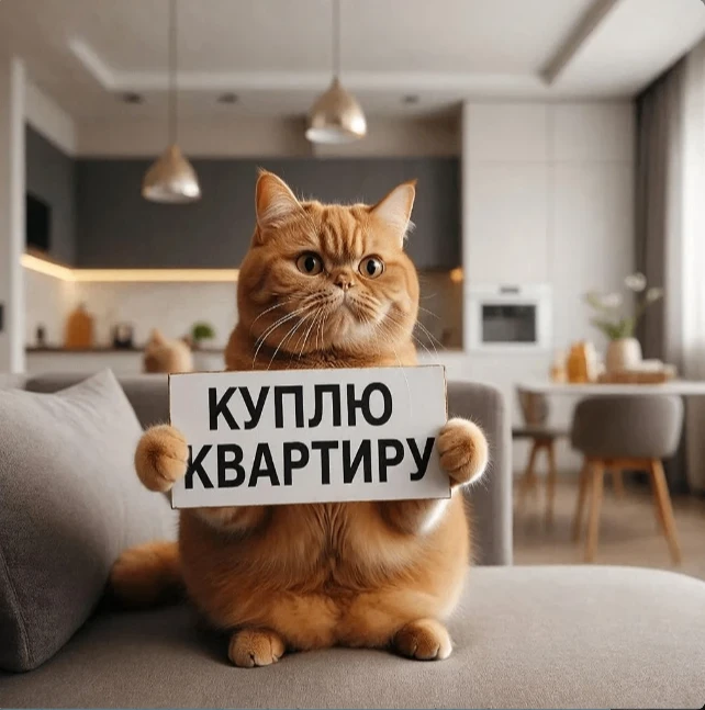 Реклама