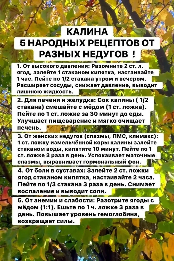 Спасибо за реакции 🔥 👍❤️