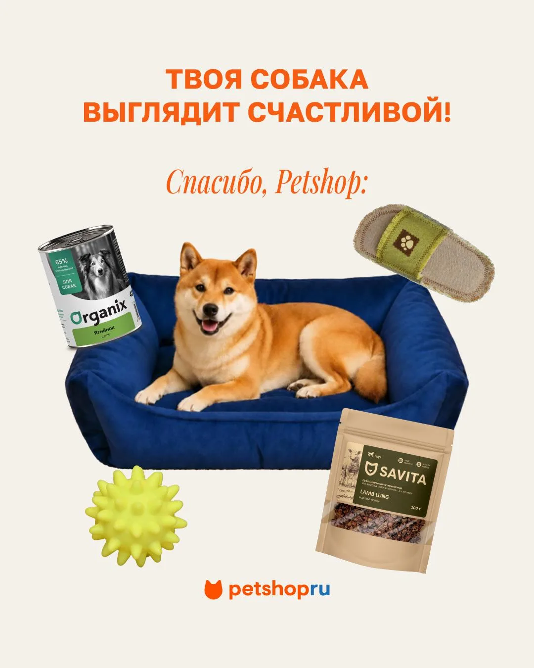 Можно сделаем вид, что это благодаря корзине из Petshop? 😌🐶