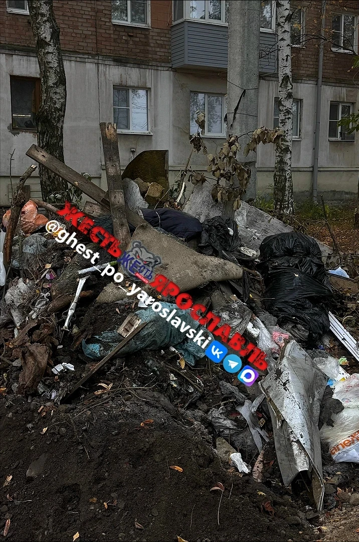 Обращаюсь к НАО «Управдом Фрунзенского р-на» - хотели бы жить с таким видом из окон⁉