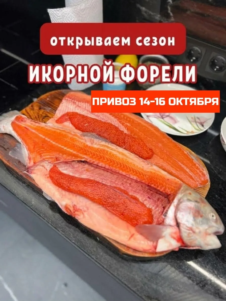 Свежайший привоз непотрошёной форели: 14-16 октября 🐟 Бронь открыта!