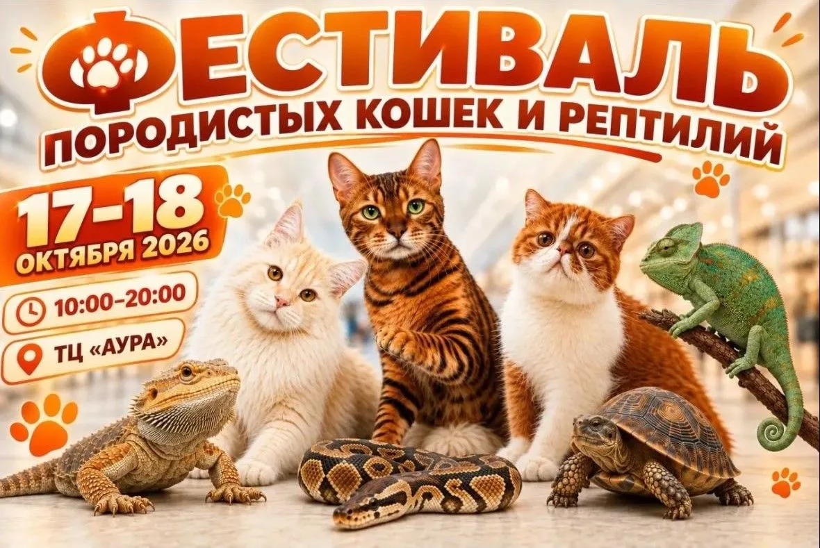 ️❗️НОВОСИБИРСК️❗️