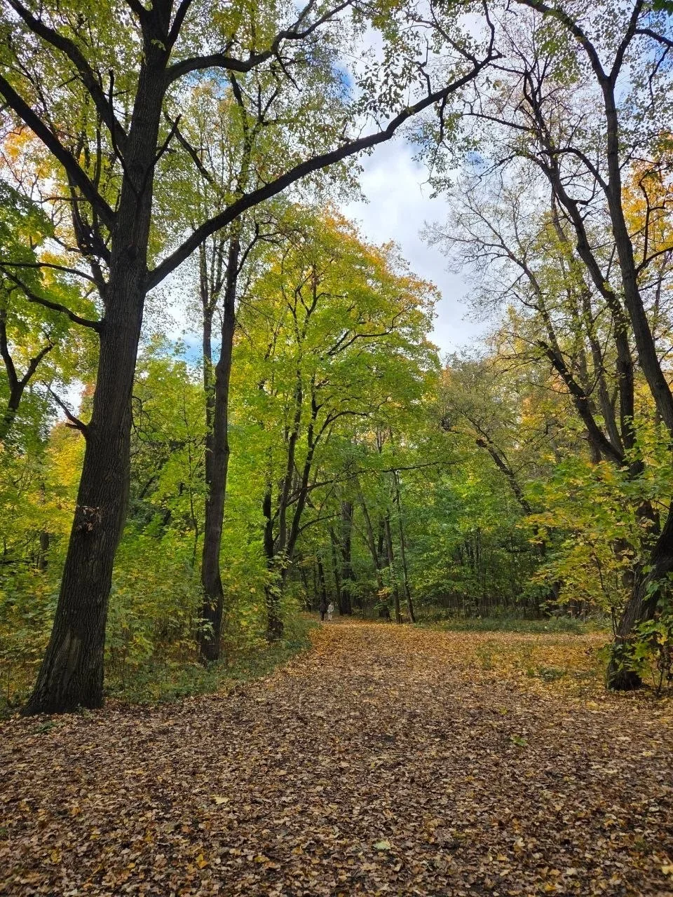 Осенняя прогулка по парку в Быково