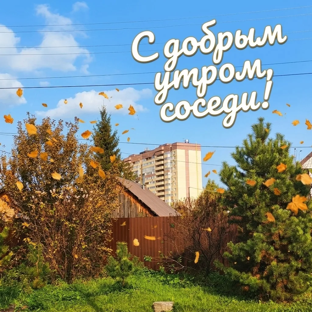 Доброе утро, друзья!