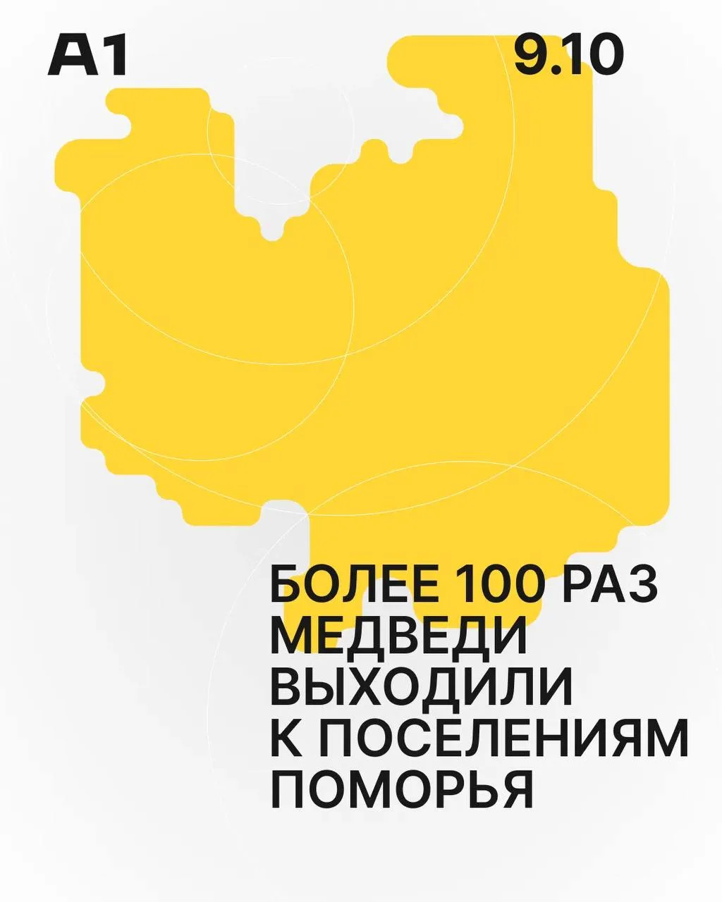 С апреля в Поморье зафиксировали более 100 выходов медведей к населённым пунктам.