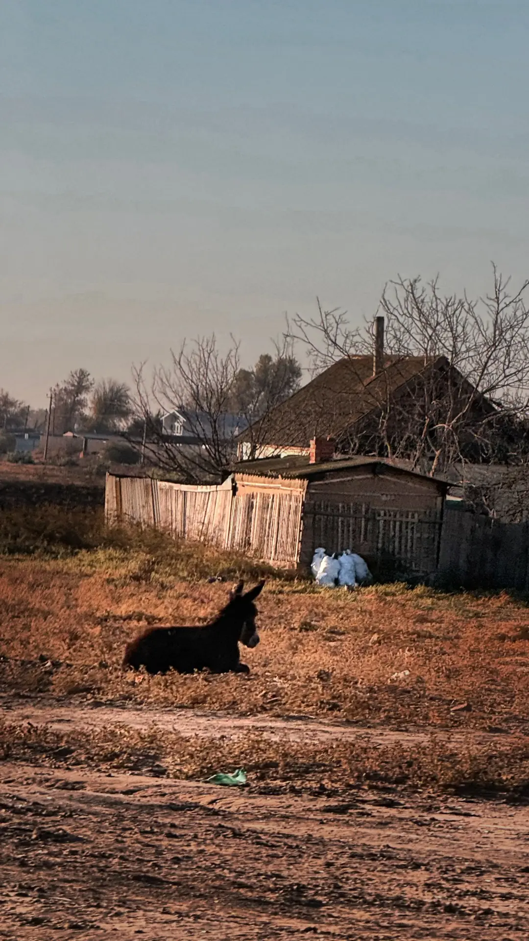 Из поездки в Астрахань #михаилпьяных #россия #астрахань #рыбалка