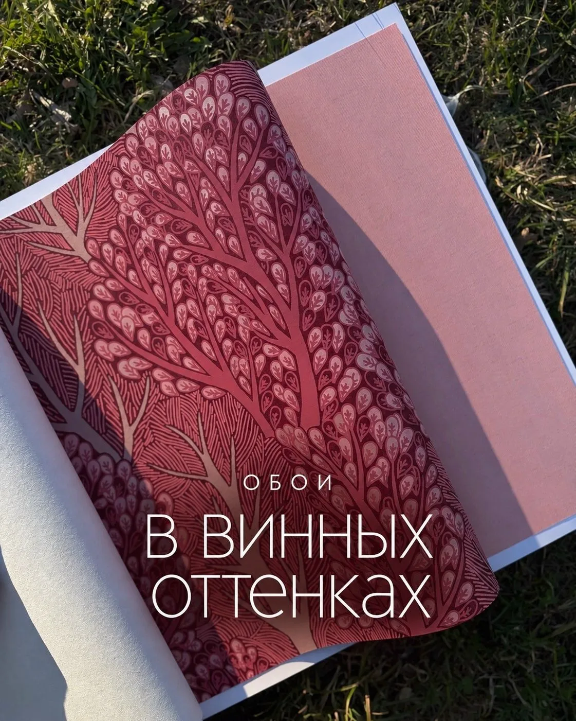 Подборка обоев в винных тонах 🍷