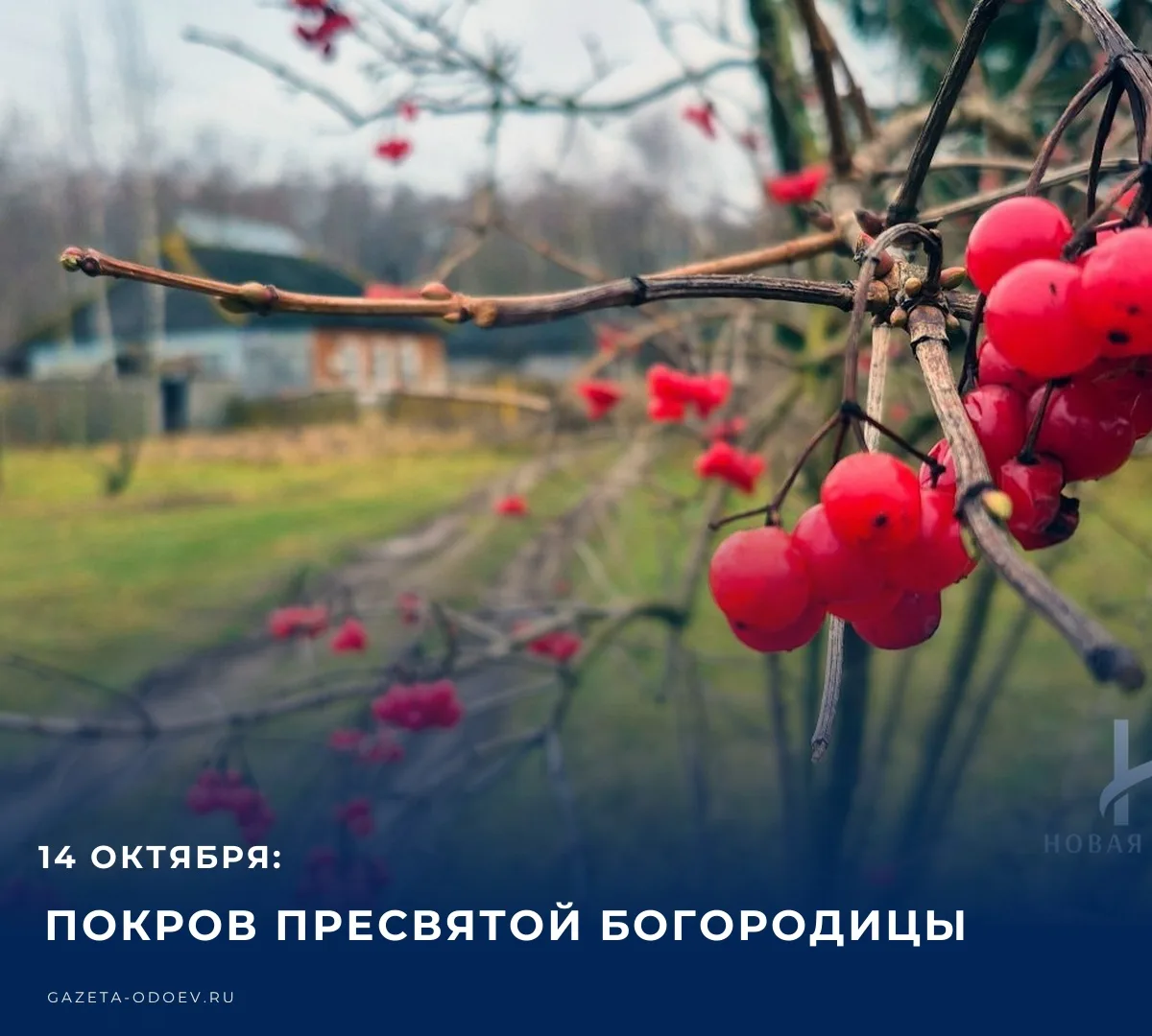 ☁️ Сегодня, 14 октября 2026 года, на территории Одоевского района синоптики прогнозирую...