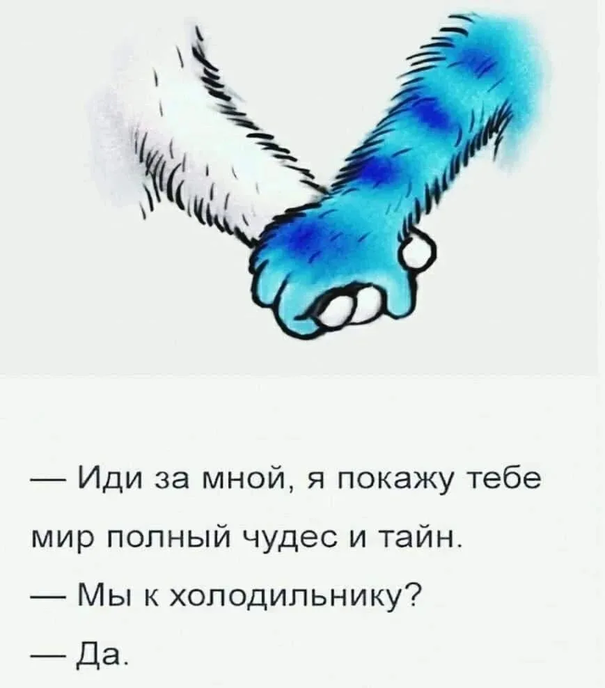 Ночной дожор