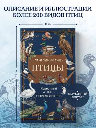 🐦 «Птицы. Карманный атлас‑определитель» — Николай Вереницын