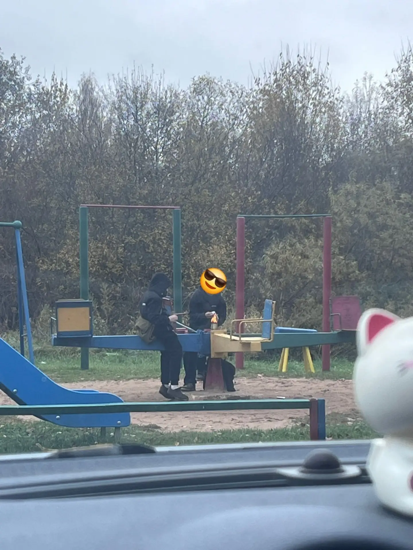 В Тверской области ищут родителей детей, играющих с огнем на детских площадках