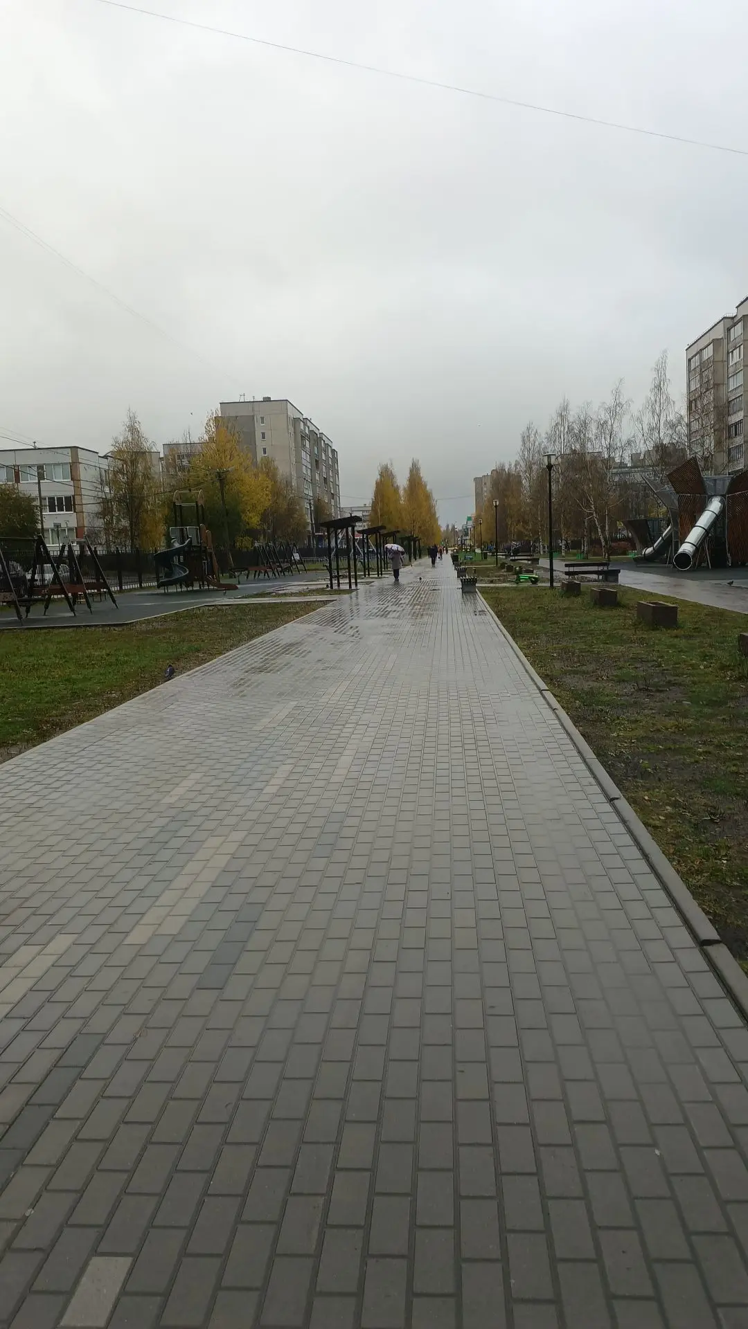 Вчера в Петрозаводске было ненастье — дождь то шел, то заканчивался. Сыро очень.