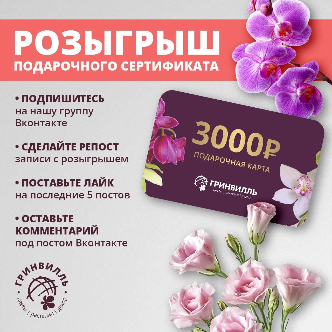 🎁 РОЗЫГРЫШ ПОДАРОЧНОГО СЕРТИФИКАТА ОТ ГРИНВИЛЛЬ ВКОНТАКТЕ