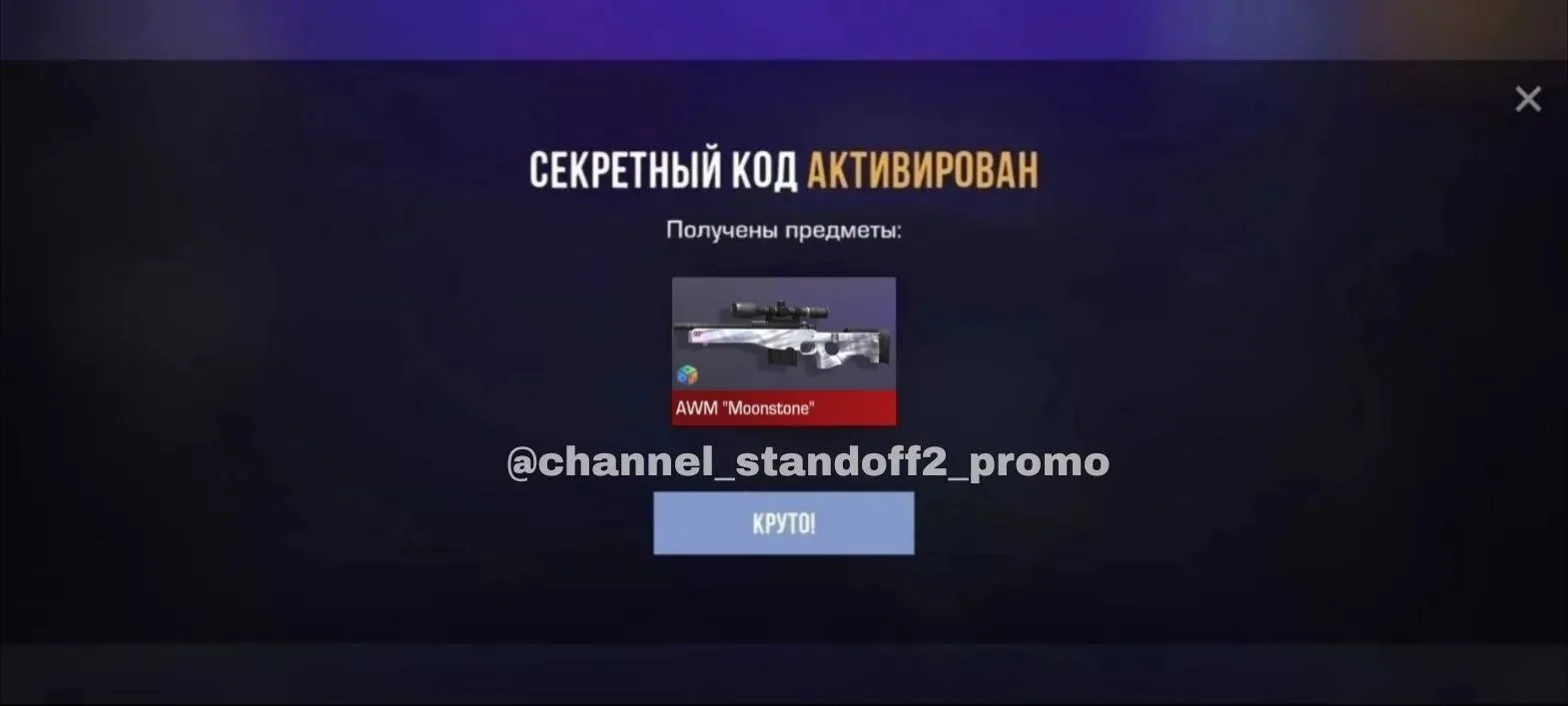 C95ZQ34PEBB9