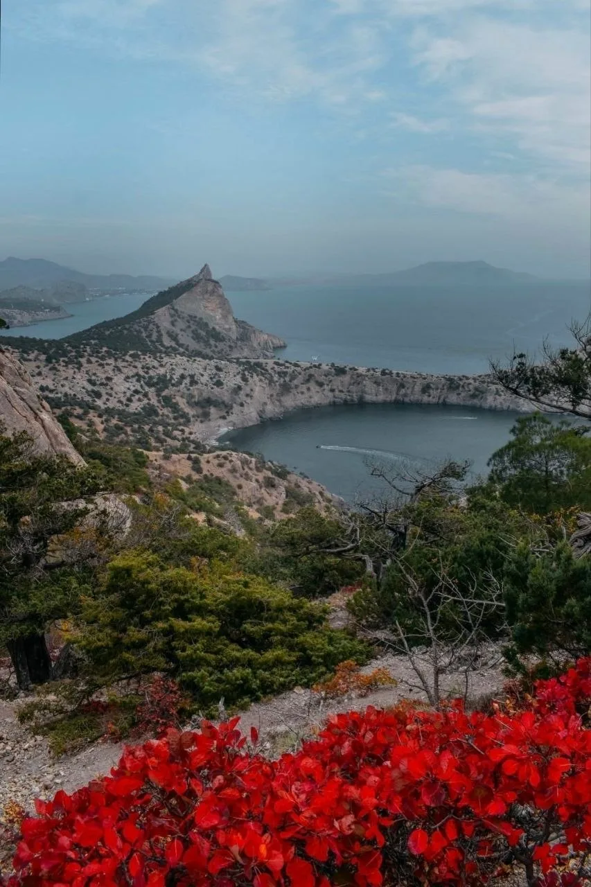 Фотокарточки осеннего Крыма 🍁