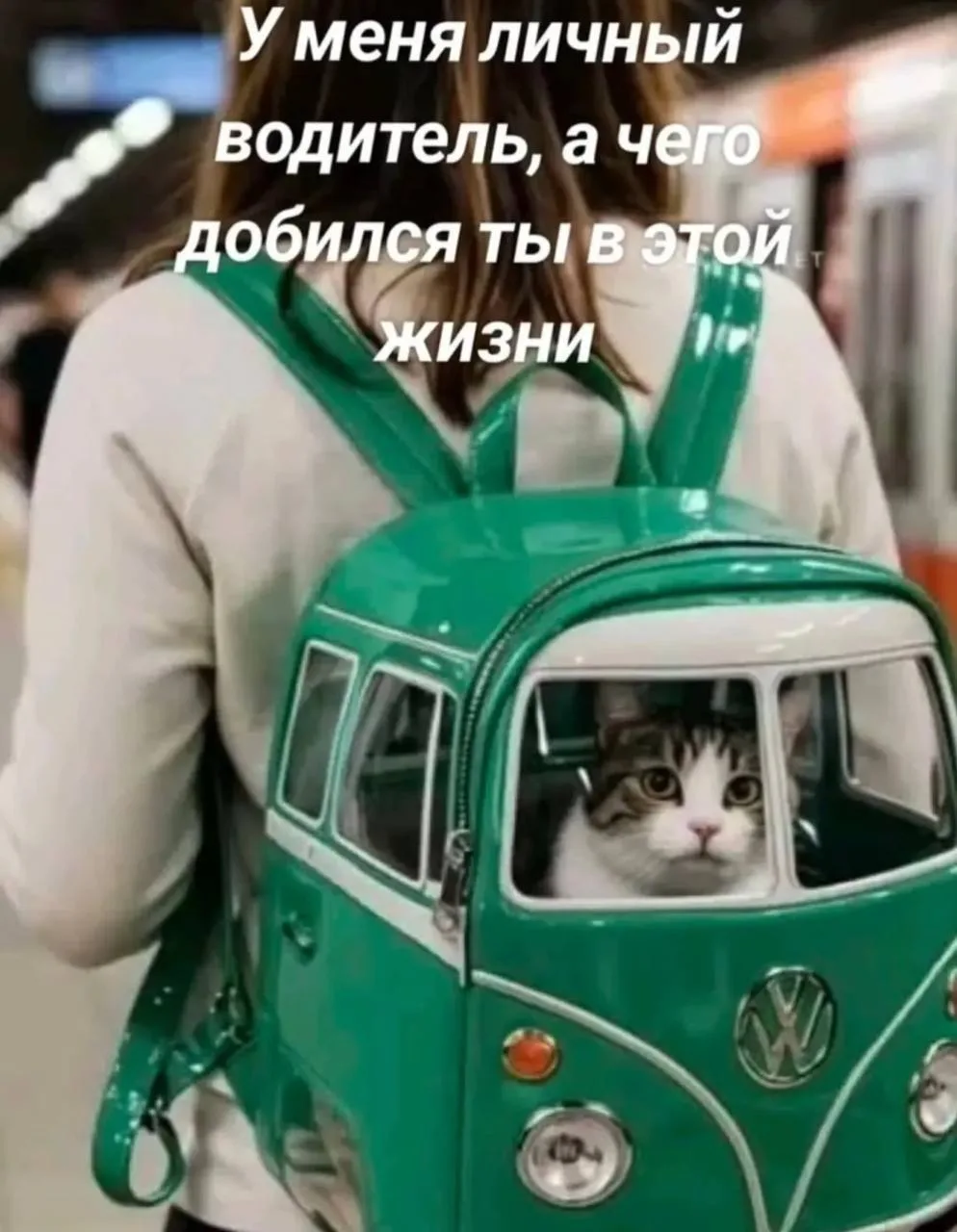 Девчата - Подписаться