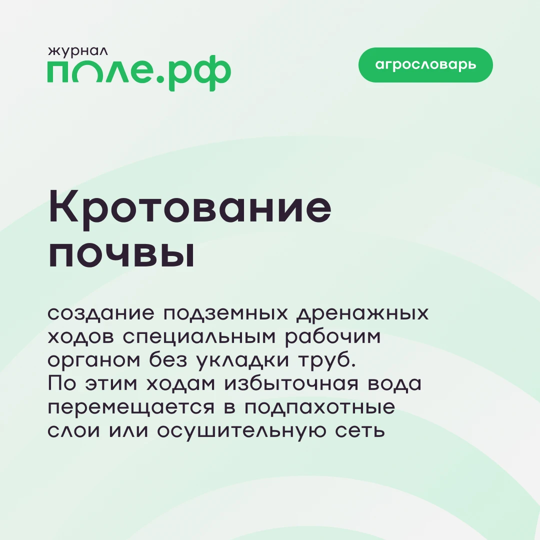 📝 Продолжаем цикл публикаций в рубрике «Агрословарь», посвященный агротехнологиям в ра...
