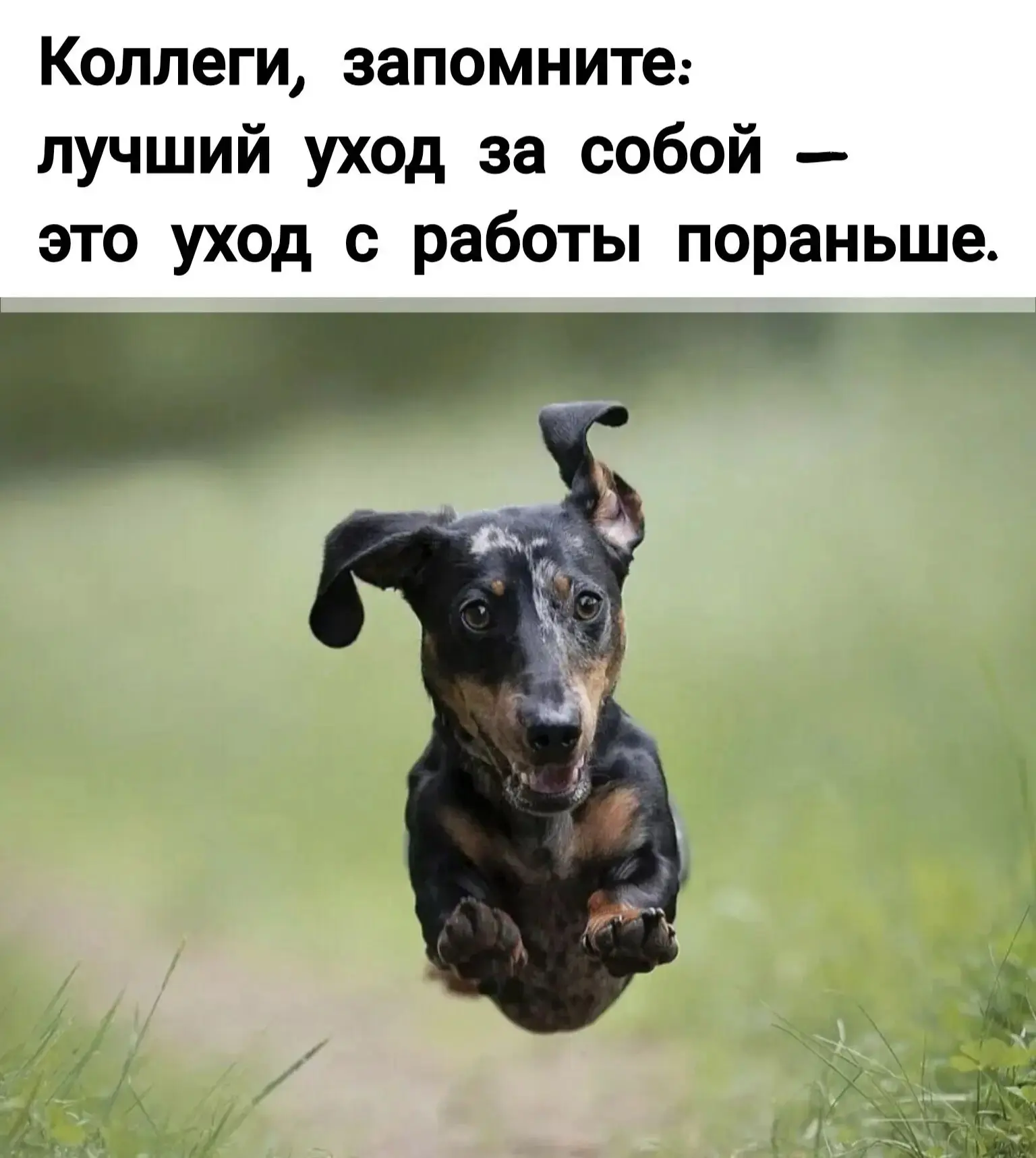 Немного юмора 🤪