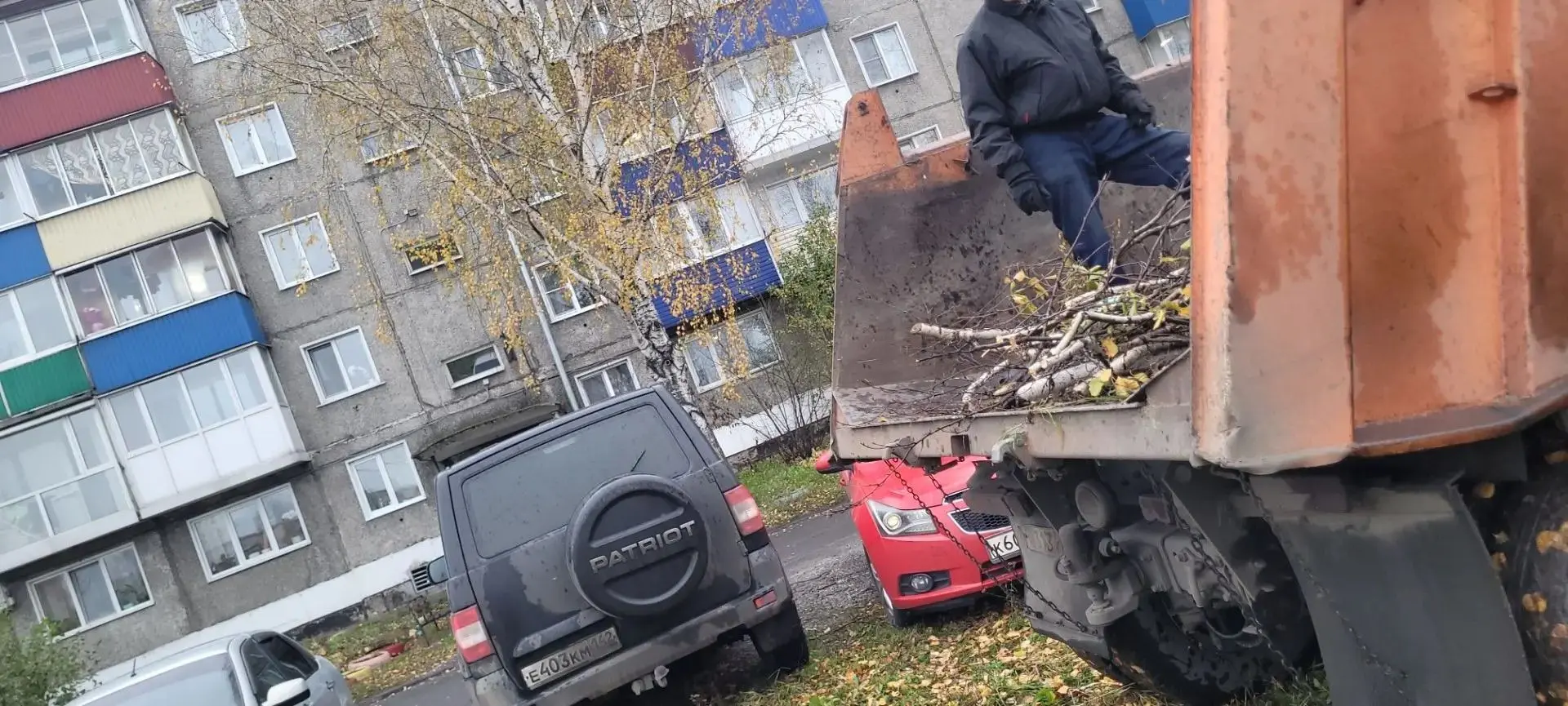ул. Крылова,29 вывоз веток после спила дерева