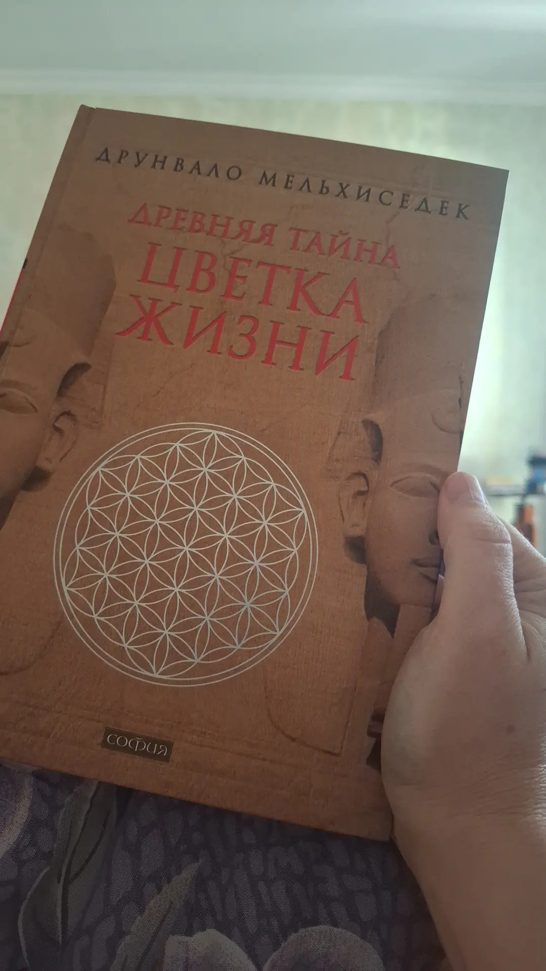 Лучезарные, приветствую!